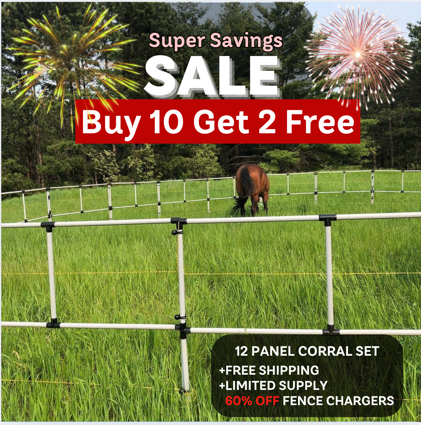 Ready Made Portable Electric Horse Corral Fencing: (Electric EconoLine 10+2=12 Panels; 2 Rails)