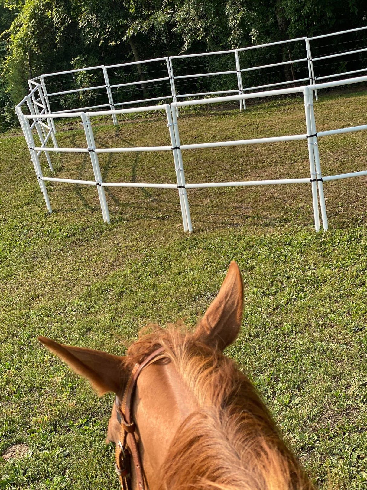 Modular Horse Corral Portable Panel Fencing: (Liberty 24 Panels; 3 Rails)