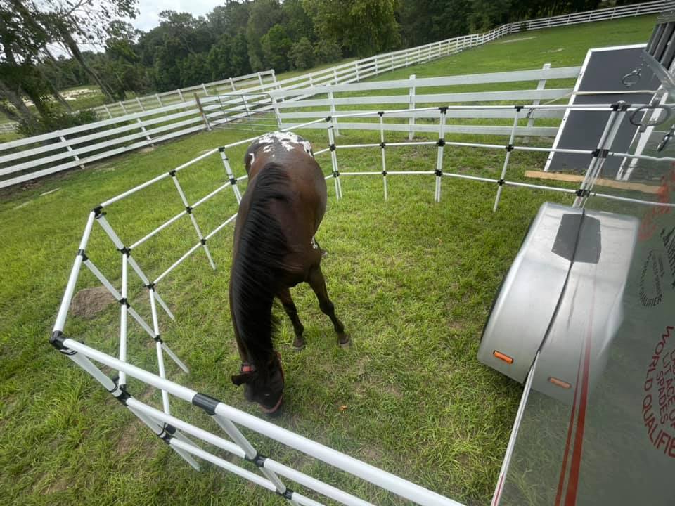 Ready Made Portable Horse Corrals: (EconoLine 6 Panels; 3 Rails)