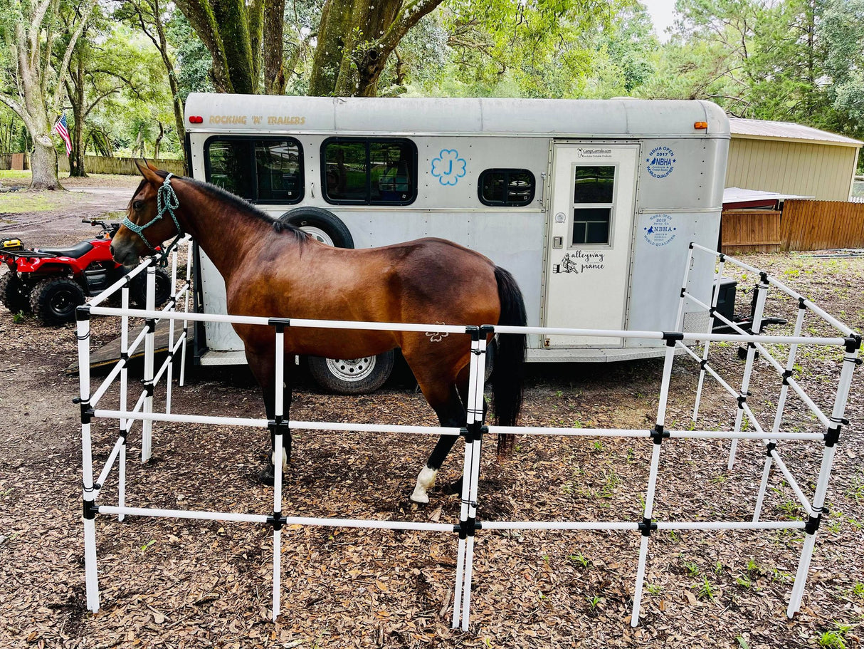 Ready Made Portable Horse Corrals: (EconoLine 6 Panels; 3 Rails)