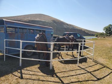 Modular Horse Corral Portable Panel Fencing: (Liberty 8 Panels; 3 Rails)