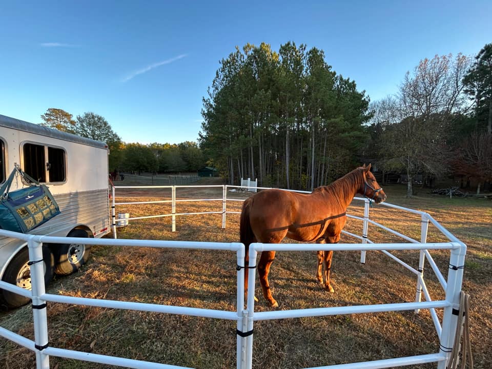 Modular Horse Corral Portable Panel Fencing: (Liberty 10 Panels; 3 Rails)