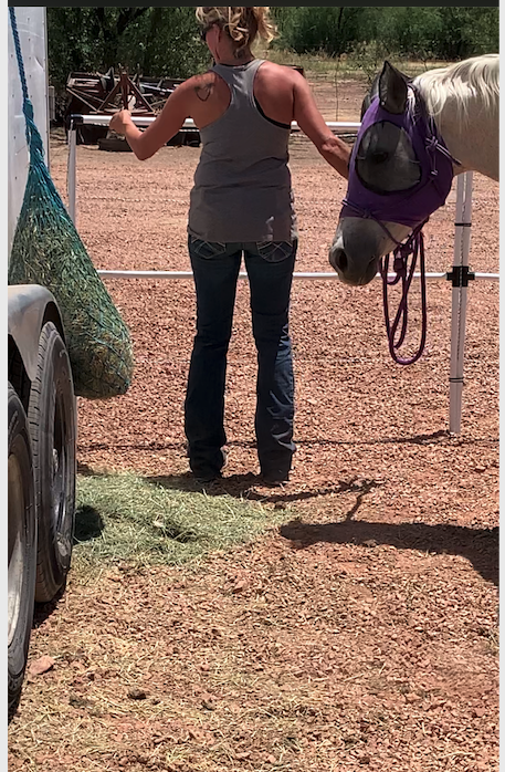 Ready Made Portable Electric Horse Corral Fencing: (Electric EconoLine 8 Panels; 2 Rails)