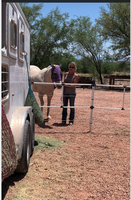 Ready Made Portable Electric Horse Corral Fencing: (Electric EconoLine 8 Panels; 2 Rails)