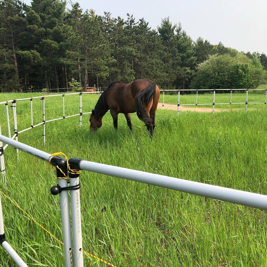 Ready Made Portable Electric Horse Corral Fencing: (Electric EconoLine 10+2=12 Panels; 2 Rails)