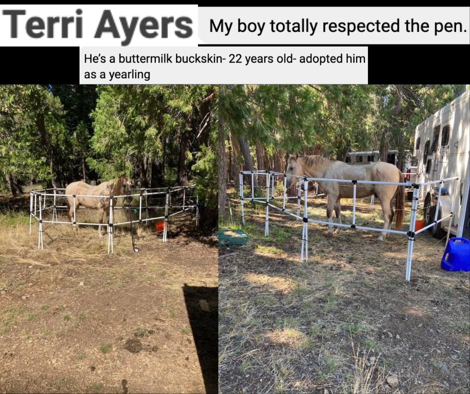 Ready Made Portable Electric Horse Corral Fencing: (Electric EconoLine 8 Panels; 2 Rails)