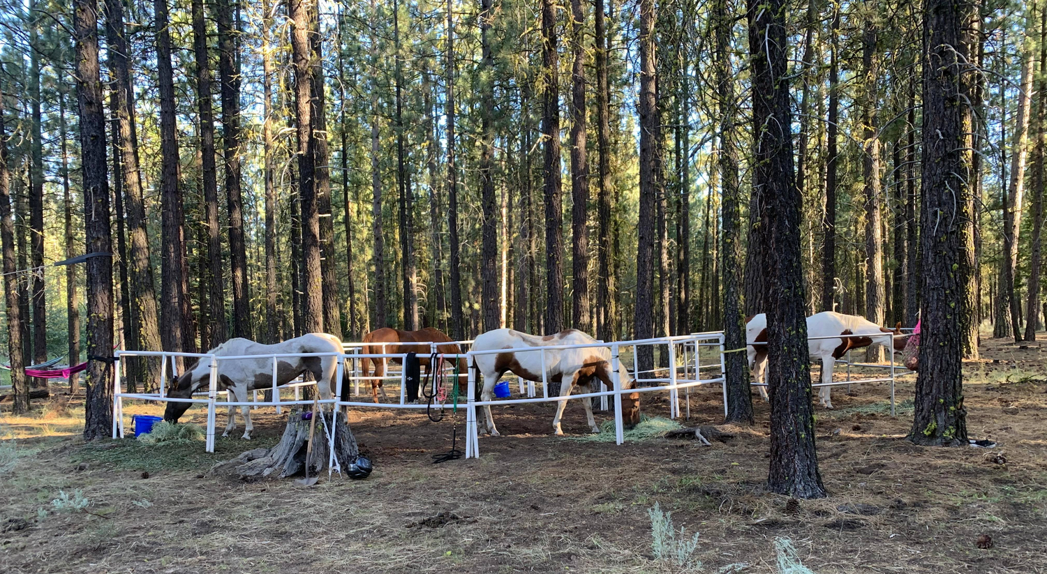 DIY Honey-Do Box Set: Standard (10 Panels; 2 Rails)