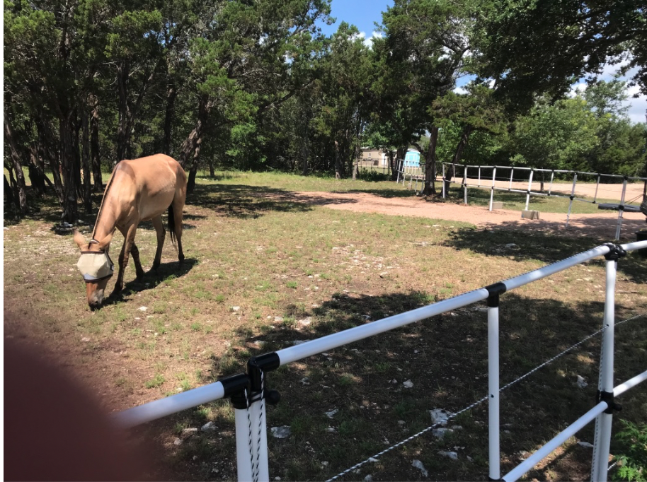 Ready Made Portable Electric Horse Corral Fencing: (Electric EconoLine 10+2=12 Panels; 2 Rails)