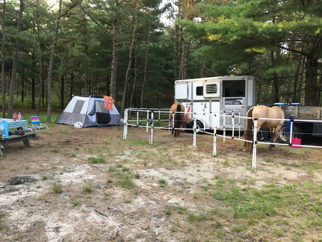 Ready Made Portable Electric Horse Corral Fencing: (Electric EconoLine 6 Panels; 2 Rails)