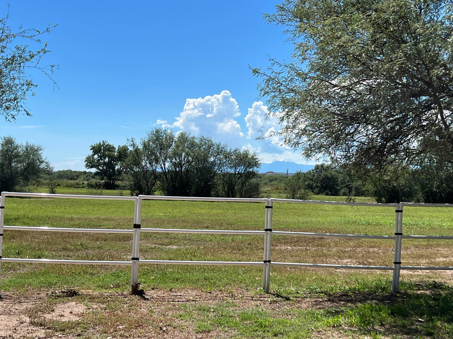 Modular Horse Corral Portable Panel Fencing: (Liberty 12 Panels; 3 Rails)