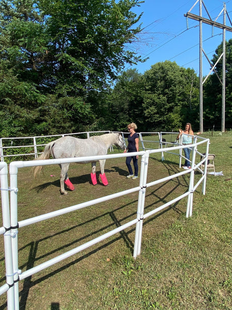 Modular Horse Corral Portable Panel Fencing: (Liberty 10 Panels; 3 Rails)