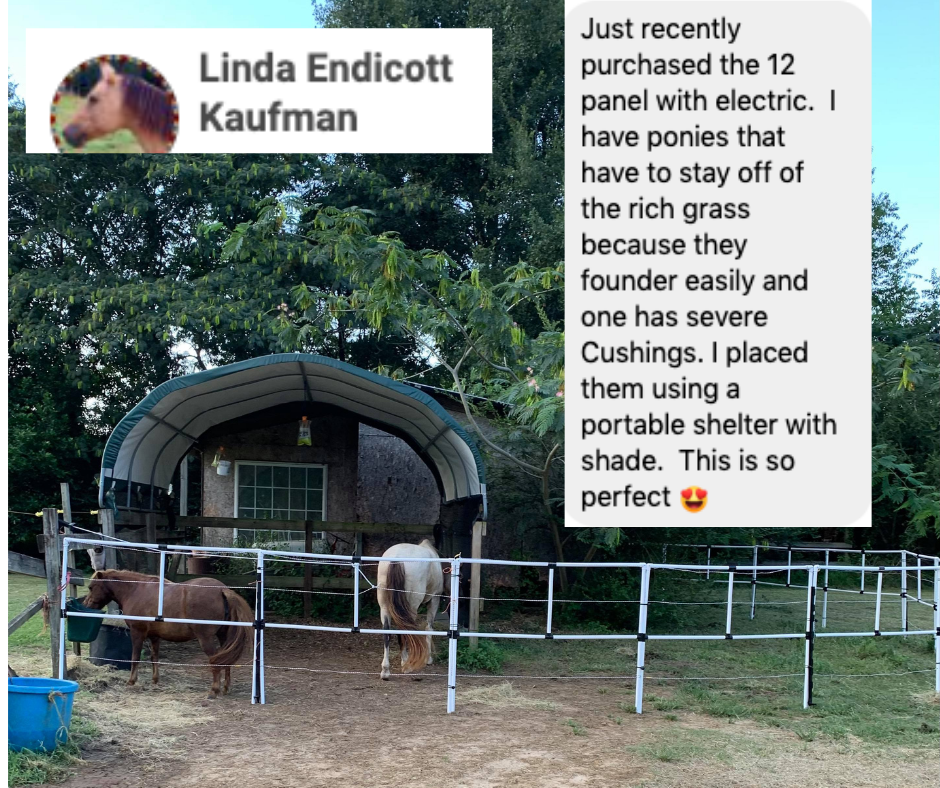 Ready Made Portable Electric Horse Corral Fencing: (Electric EconoLine 10+2=12 Panels; 2 Rails)