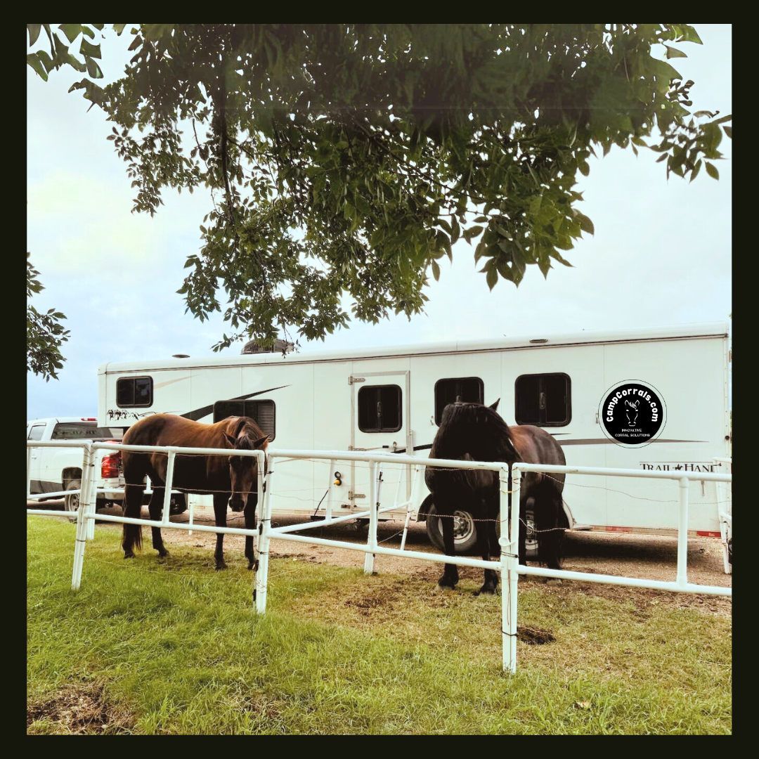 BOGO Buy 6 Get 6 50% OFF: Heavy-Duty Electric Ready-Made Corral (12 Panels; 2 Rails)