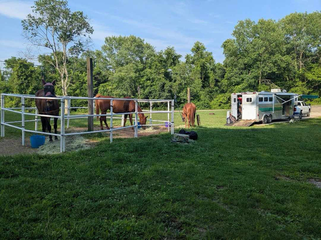Modular Horse Corral Portable Panel Fencing: (Liberty 14 Panels; 3 Rails)