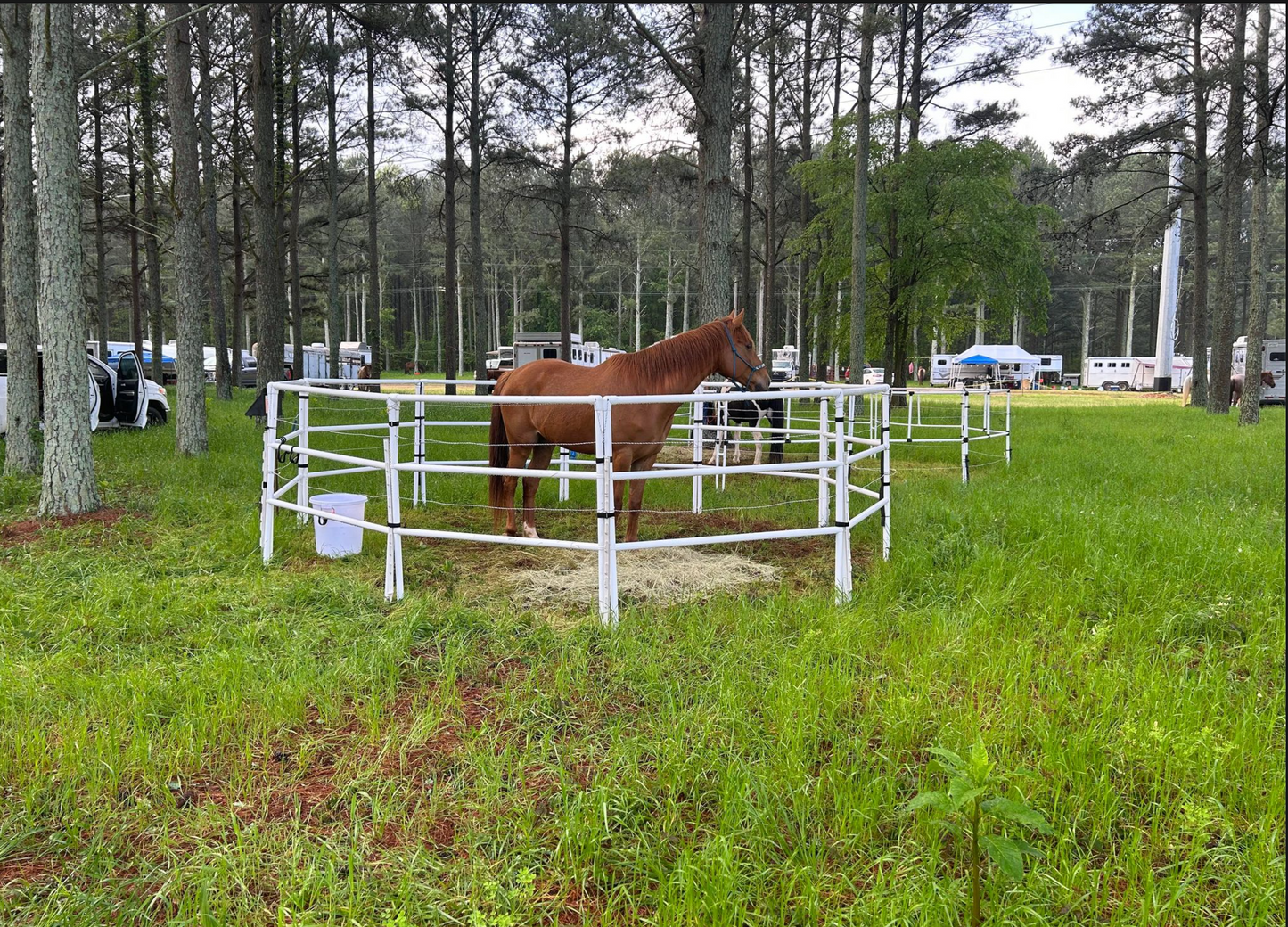 Modular Horse Corral Portable Panel Fencing: (Liberty 14 Panels; 3 Rails)