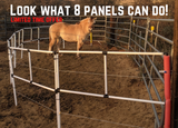 Ready Made Portable Electric Horse Corral Fencing: (Electric EconoLine 8 Panels; 2 Rails)