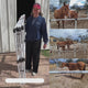 Ready Made Portable Electric Horse Corral Fencing: (Electric EconoLine 12 Panels; 2 Rails)