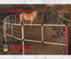 Ready Made Portable Electric Horse Corral Fencing: (Electric EconoLine 8 Panels; 2 Rails)