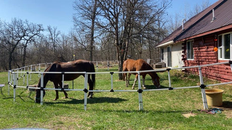 BOGO Ready Made Portable Electric Horse Corral Fencing: (Electric EconoLine 8x2 = 16 Panels; 2 Rails)