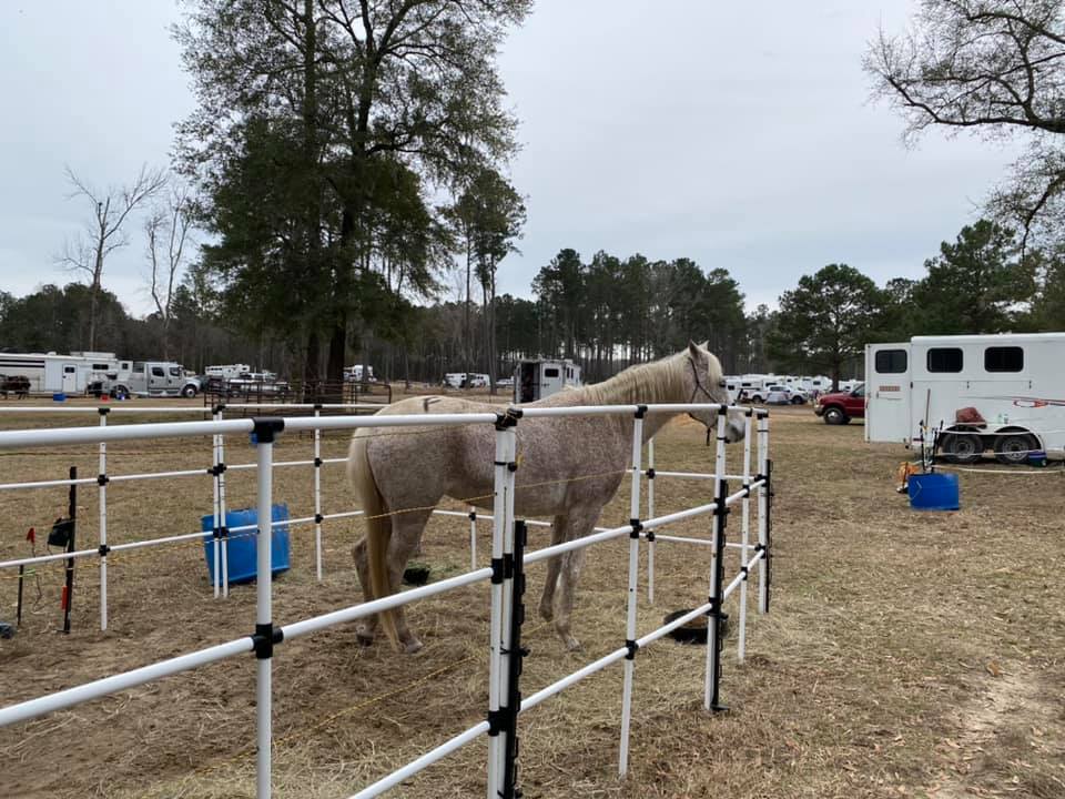 Ready Made Portable Horse Corrals: (EconoLine 8 Panels; 3 Rails)