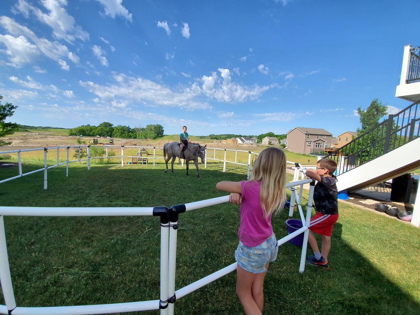 DIY Honey-Do Box Set: Standard 50' Round Pen (26 Panels; 2 Rails)
