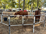 Ready Made Portable Electric Horse Corral Fencing: (Electric EconoLine 12 Panels; 2 Rails)