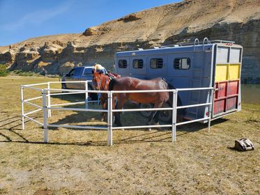 Modular Horse Corral Portable Panel Fencing: (Liberty 12 Panels; 3 Rails)