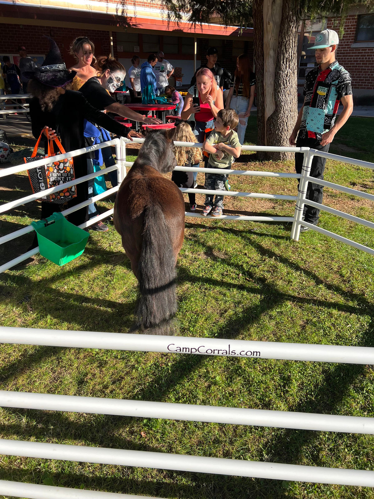 Goat Rails DIY Modular Kit: Mini/Goat Corral (6 Panels; 4 Rails) – Camp Corrals