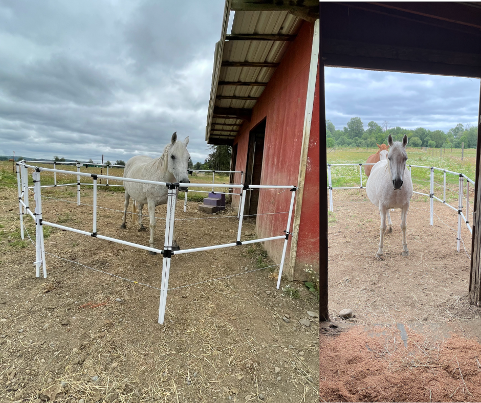 Ready Made Portable Electric Horse Corral Fencing: (Electric EconoLine 8 Panels; 2 Rails)