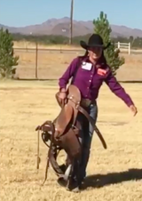 Saddle Strap