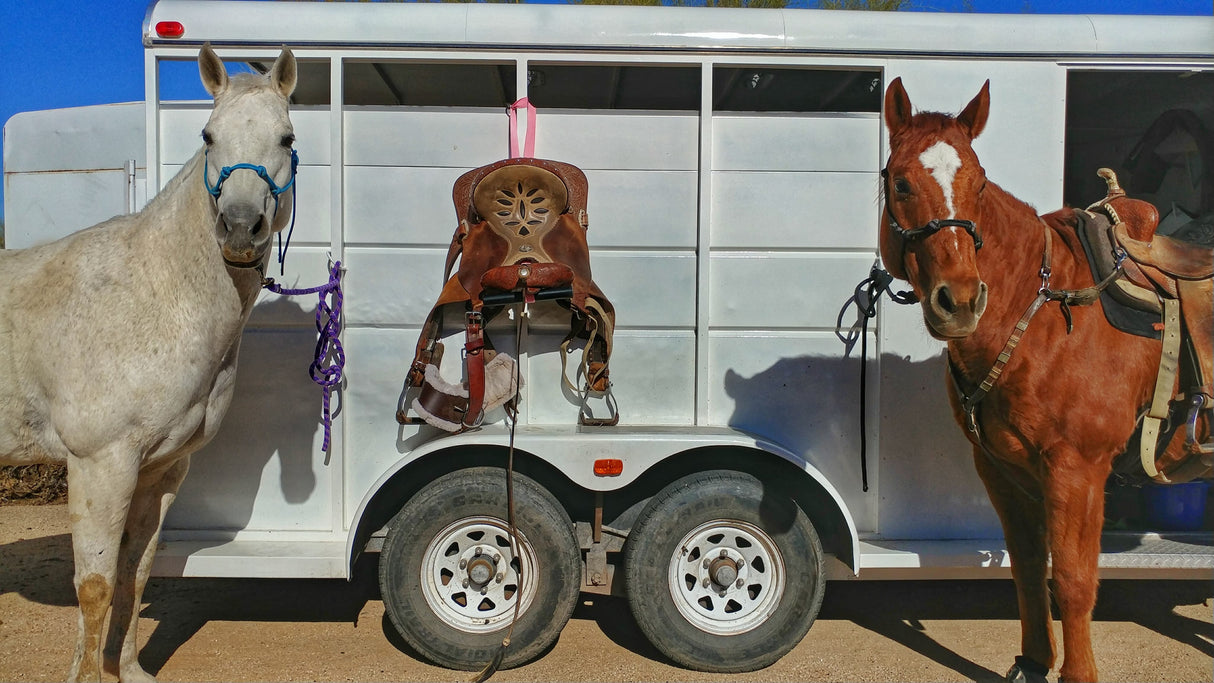Saddle Strap