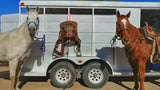 Saddle Strap