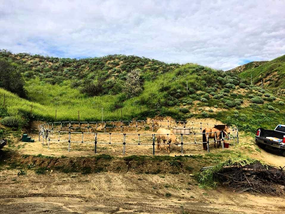 DIY Honey-Do Box Set: Standard 50' Round Pen (26 Panels; 2 Rails)