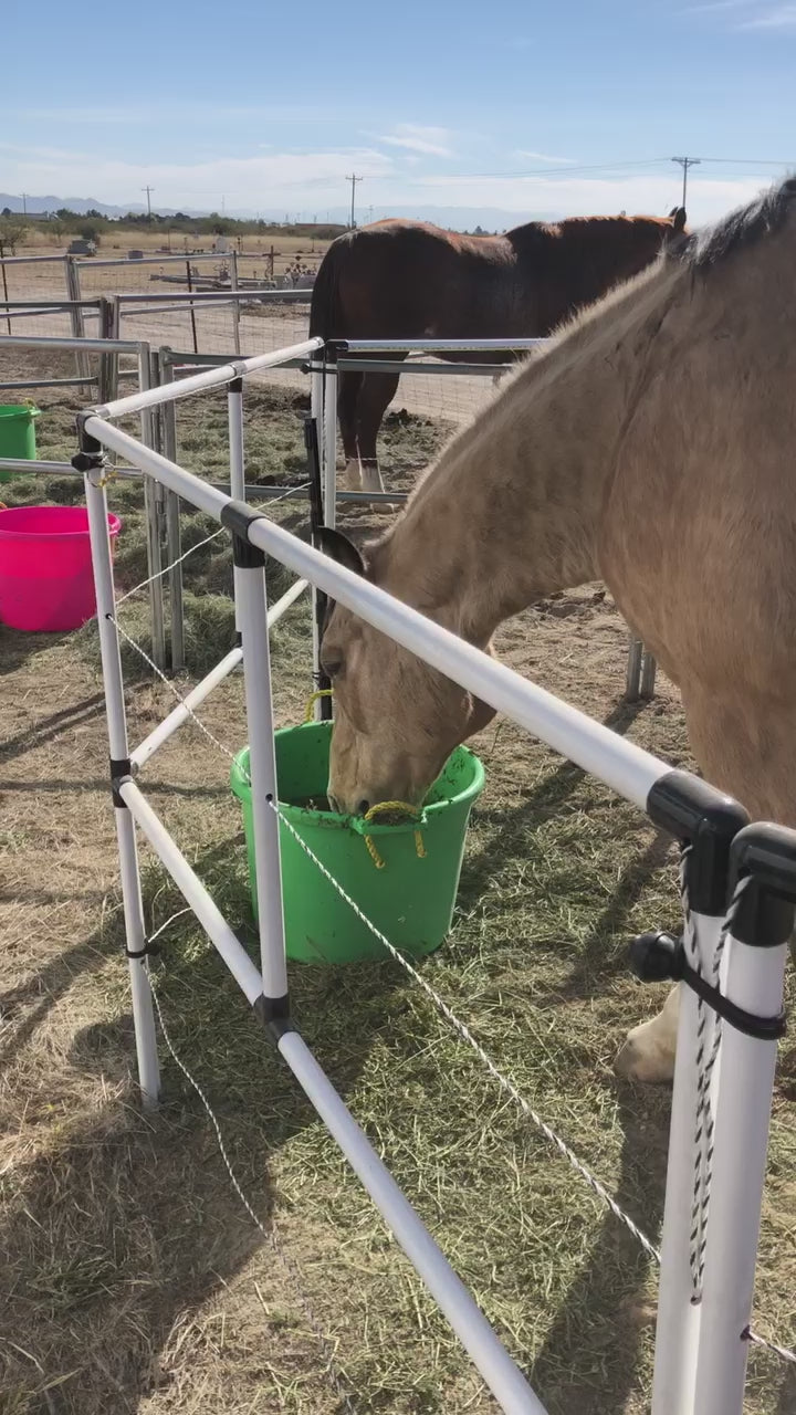 Ready Made Portable Electric Horse Corral Fencing: (Electric EconoLine 8 Panels; 2 Rails)