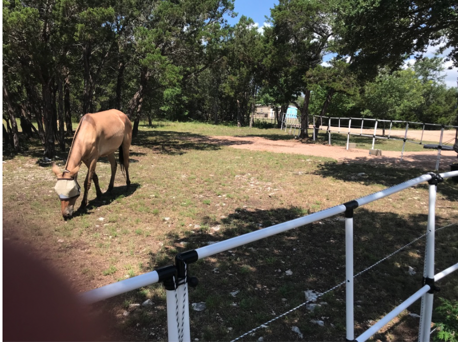 Ready Made Portable Electric Horse Corral Fencing: (Electric EconoLine 12 Panels; 2 Rails)