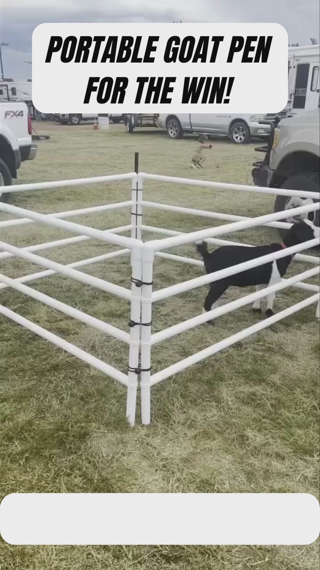 DIY Modular Kit: Mini/Goat Corral (6 Panels; 4 Rails)