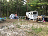 Ready Made Portable Electric Horse Corral Fencing: (Electric EconoLine 12 Panels; 2 Rails)