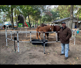 Ready Made Portable Electric Horse Corral Fencing: (Electric EconoLine 12 Panels; 2 Rails)