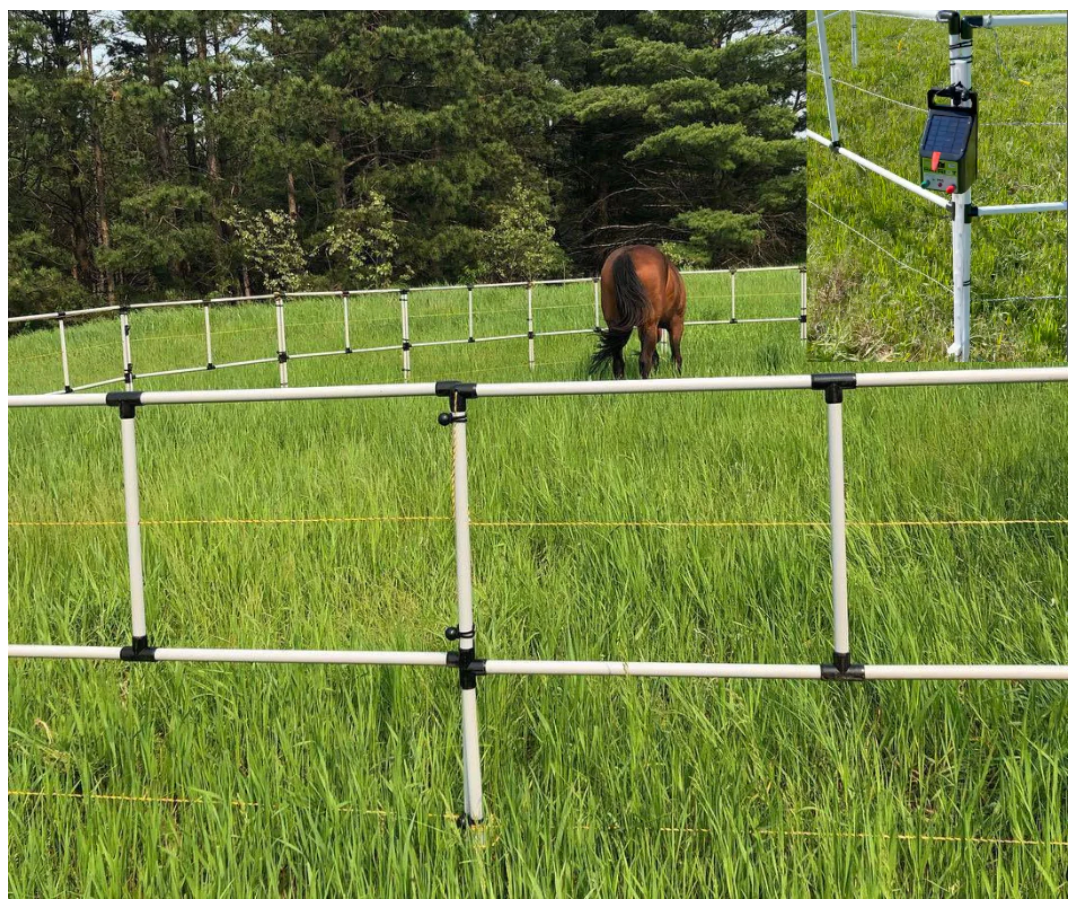 Ready Made Portable Electric Horse Corral Fencing: (Electric EconoLine 8 Panels; 2 Rails)